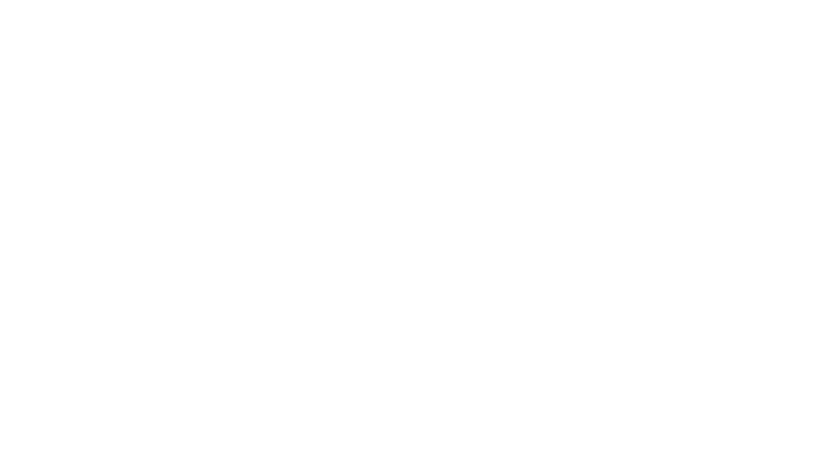 Anval Sneakers