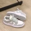 Nike Sb Dunk Gris